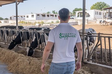 Masseria Seppunisi Tour - Mozzarella and Burrata experience