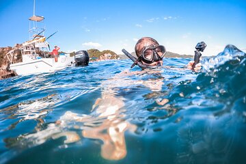 Isla Tortuga boat tour - from Paquera