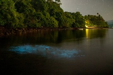 Bioluminescent Kayak Tour