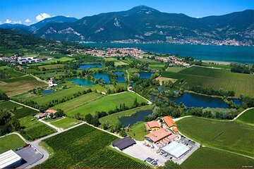 Wine Tasting and Dinner in Franciacorta Winery