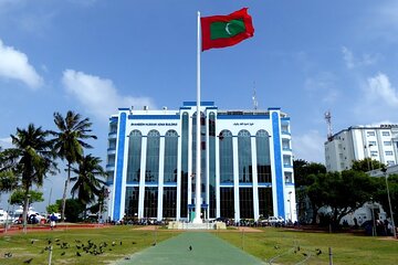 Private Male City Walking Tour with optional Vilimale tour