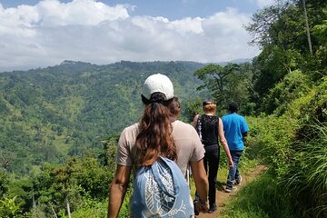 Materuni Thundering Waterfalls,Coffee Experience with Moshi Town Tour 