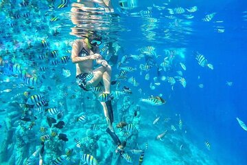 Half-Day Private Guided Snorkeling With Turtle And Statute