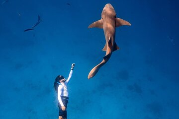 Discover Maafushi in 4 Nights 5 Days (Tour A)