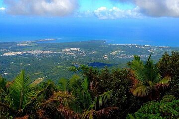 El Yunque Rainforest Guided Tour 