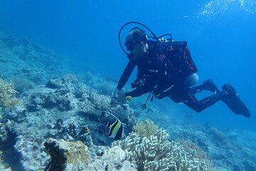 PADI Discover Scuba Diving for Beginners