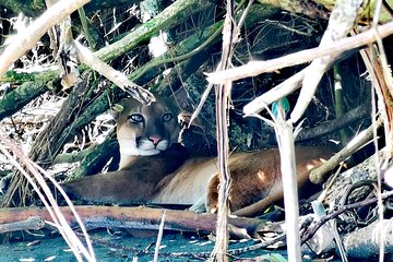 Tour to the Sirena Ranger Station in Corcovado