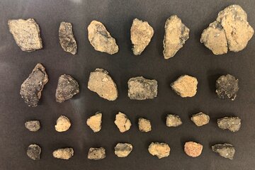 Full-Day Jomon World Heritage Site Tour in Northern Tsugaru Area