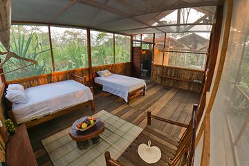 2-Day Jungle Tour: Lake Sandoval, Monkey Island, Hikes, Caiman, & Clay Lick