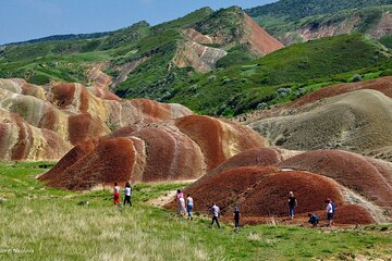 Kakheti All inclusive PRIVATE Tour. Bio Wine & Lunch from locals