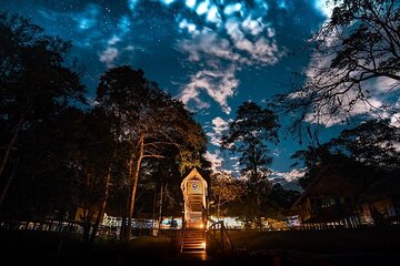 3 Day Iquitos Jungle Adventure at Muyuna Lodge