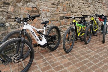 4-Hour E-bike Tour with Tasting in Modena