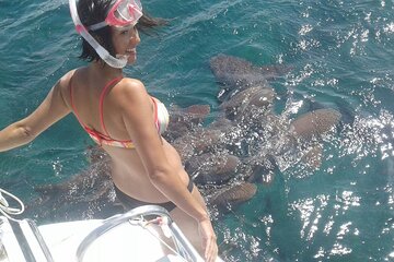 Semi-private Exclusive All-in-1 Full Day Shared Guided Tour