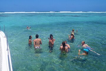 Mexico Rocks Day Sail Shared Guided Tour