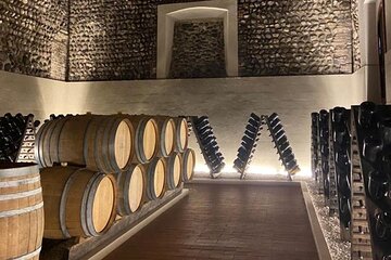 Franciacorta TopSparkling Tour with wine expert and driver from Iseo or Brescia