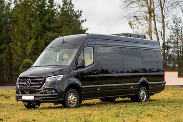 Arrival Private Transfer: Port Canaveral to Orlando by Minibus