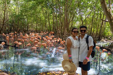 Full-Day Tour Isla Baru - National Aviary of Colombia and Playa Blanca