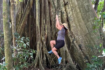 Vermont Nature Trail with Topdawg Taxi and Tours