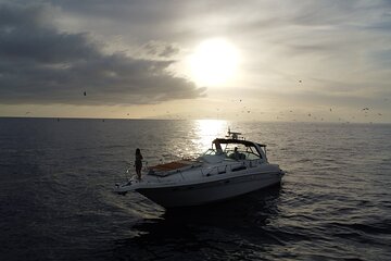 4 Hour Boat Tour with Snorkeling from Puerto Rico and Mogan