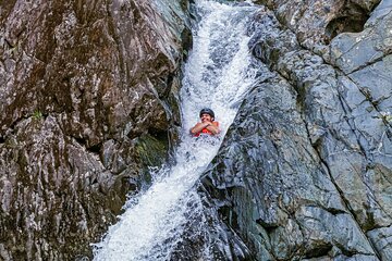 Small-Group El Yunque Rainforest Day Tour with Transport