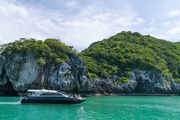 Samui Boat Charter, Private Speedboat Charter, Angthong National Marine Park