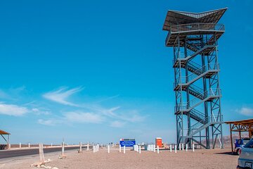 One-way Shuttle Transfer: Nazca to Huacachina