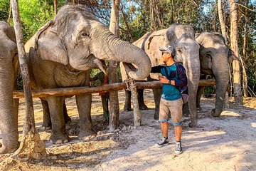 Kulen Elephant Forest by private tour
