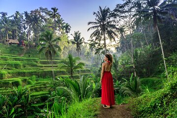Bali Private Tour - Best of Ubud - All Inclusive