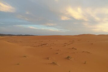 Giro in camello e notte in tenda privata 