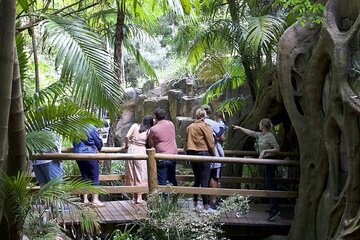 Daytime Scenic Rim Glow Worm Tour