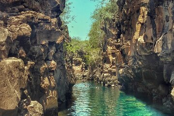 Private tours Snorkelling with tropical fish and Kayak 