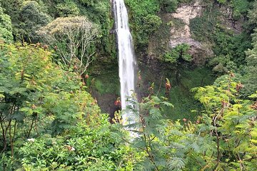 Jakarta Bogor Botanical Garden, Waterfall and Rice terrace, Lunch