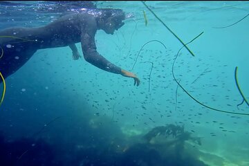 La Jolla Kayak and Snorkel Tour