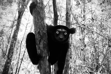 5 Days Private Tour in Eastern Madagascar