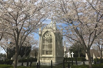Highlights of Hollywood Cemetery Walking Tour