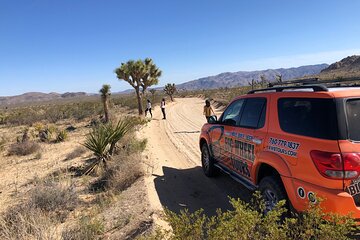 Joshua Tree National Park Offroad Tour