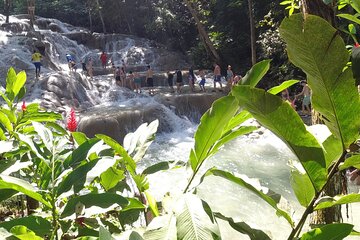 Falmouth to Ocho Rios Guided Tour (Dunn's River Falls & Shopping)