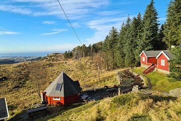 Scenic tour to Steinsfjellet, locals at Kringsjå & Rising Tide