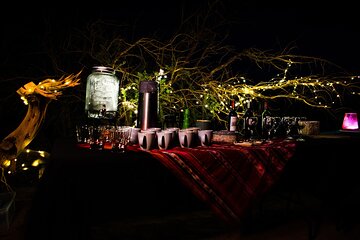 Astronomical Tour "Under the Atacama Night"