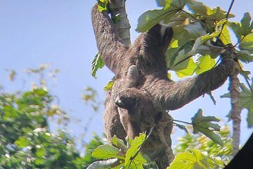 Ocean to Ocean Panama Canal and Jungle Tour