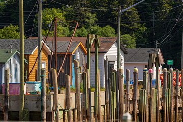 The Fundy Coastal Run to Quaco