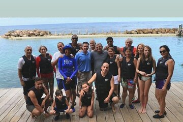 dolphin cove Adventure