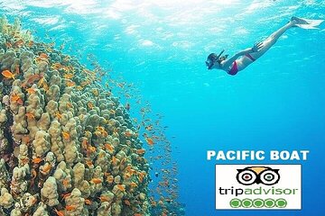 Premium snorkel trip& island hopping-SPEEDBOAT-SEAFOOD BBQ(MAX 8)