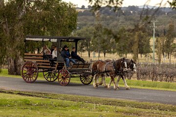 3- Hour Wine and Harvest the Hunter Horse Tour in Pokolbin