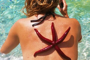 Hidden Blue Caves with Lunch - Half Day Kayaking Trip in Lefkada