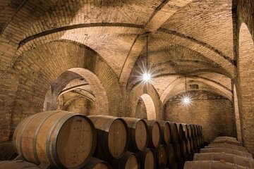 Pick up in San Antonio, Visit Carolina Winery & Transfer to Hotel