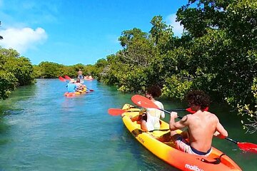 Key West Mangrove Kayak Eco Tour and Ultimate Sandbar Adventure