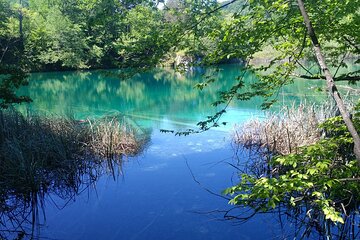 Full-Day Private Tour of Plitvice Lakes National Park from Zadar