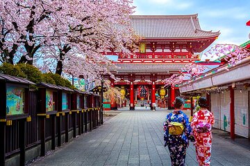 10 Days In-depth Discover Japan Deluxe Tour