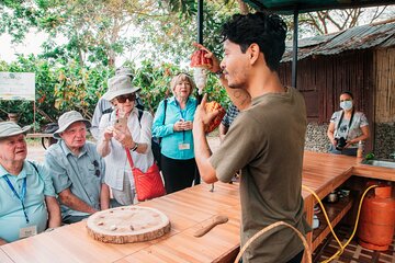 Cocoa and Gastronomy Tour at Hacienda CacaoyMango